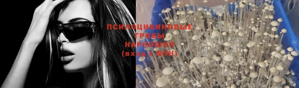 гидра Абинск