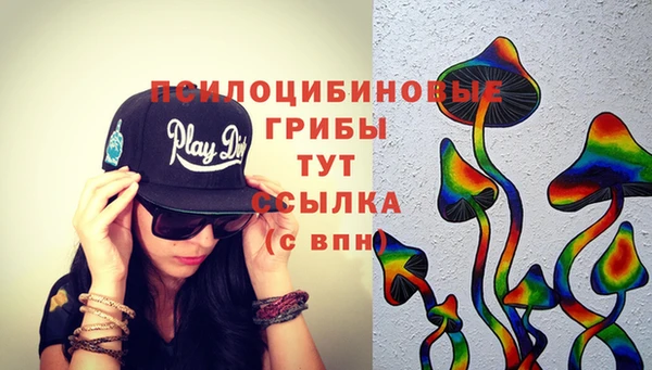 гидра Абинск